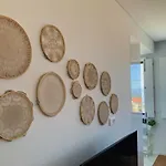 Casa Da Zefinha, Em Cinfaes, No Douro Lägenhet