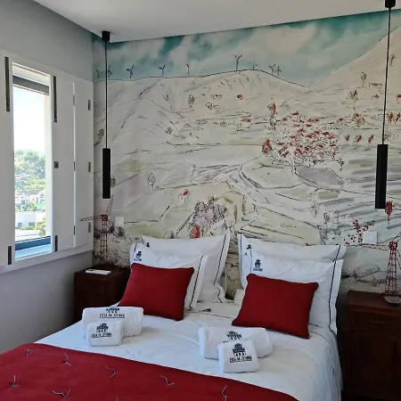 Casa Da Zéfinha, Em Cinfães, No Douro * Cinfães