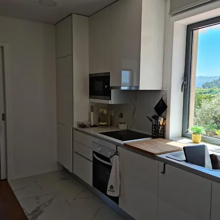Casa Da Zefinha, Em Cinfaes, No Douro アパート