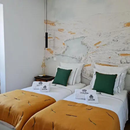 Casa Da Zefinha, Em Cinfaes, No Douro アパート シンファンイス