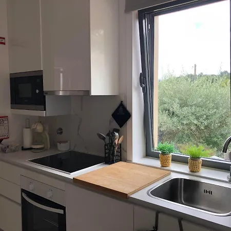 Casa Da Zefinha, Em Cinfaes, No Douro シンファンイス