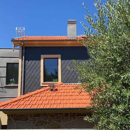 Casa Da Zéfinha, Em Cinfães, No Douro Cinfães