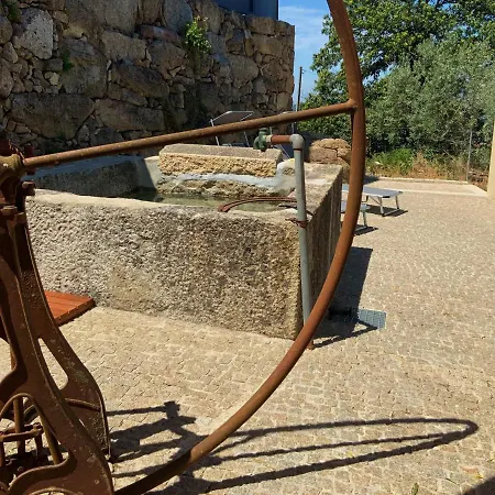 Casa Da Zéfinha. Local Em Cinfães, No Douro Apartamento