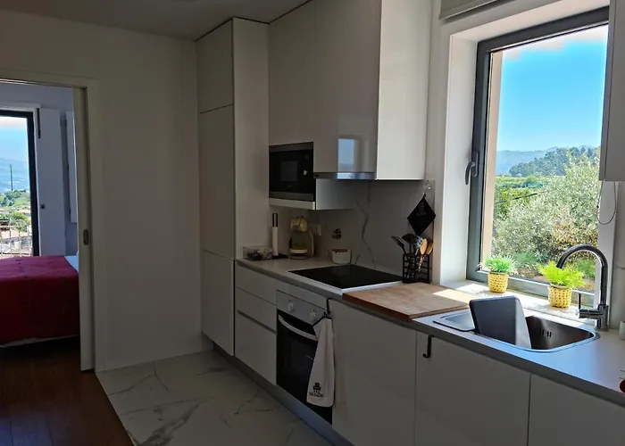 Casa Da Zefinha, Em Cinfaes, No Douro 아파트