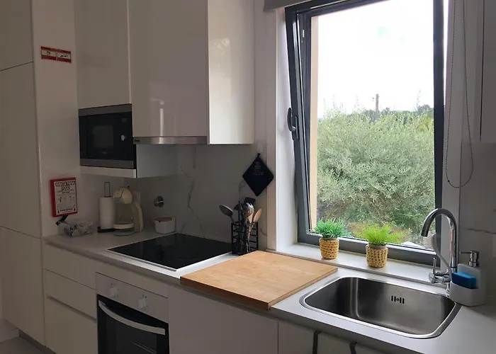 Casa Da Zefinha, Em Cinfaes, No Douro 친파에스