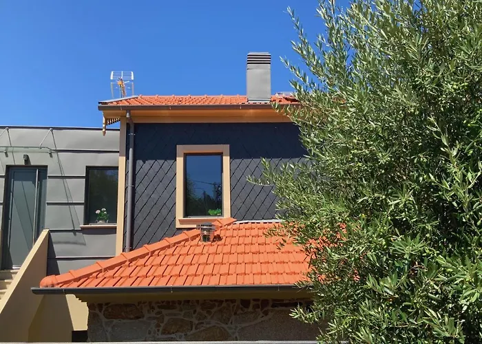 Casa Da Zefinha, Em Cinfaes, No Douro 친파에스